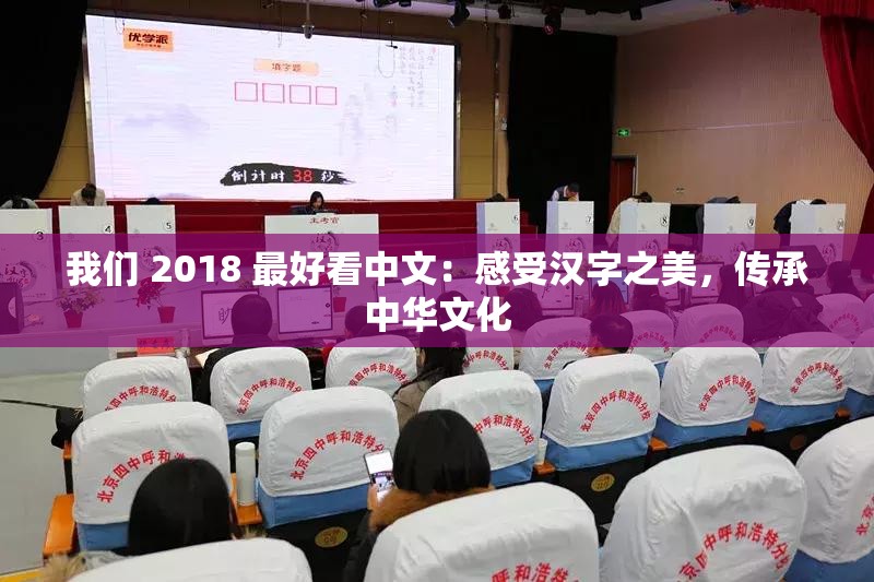 我们 2018 最好看中文：感受汉字之美，传承中华文化