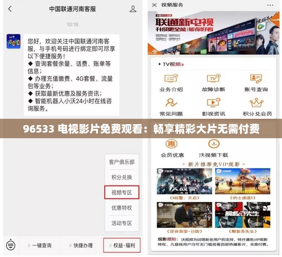 96533 电视影片免费观看：畅享精彩大片无需付费