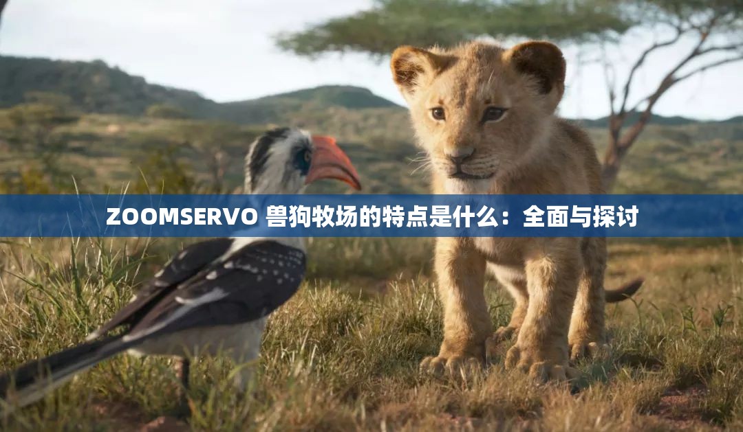 ZOOMSERVO 兽狗牧场的特点是什么：全面与探讨