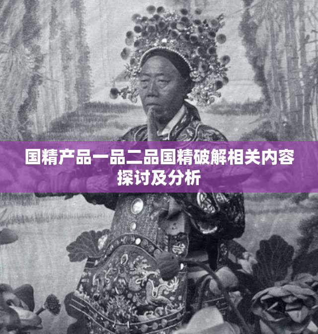 国精产品一品二品国精破解相关内容探讨及分析
