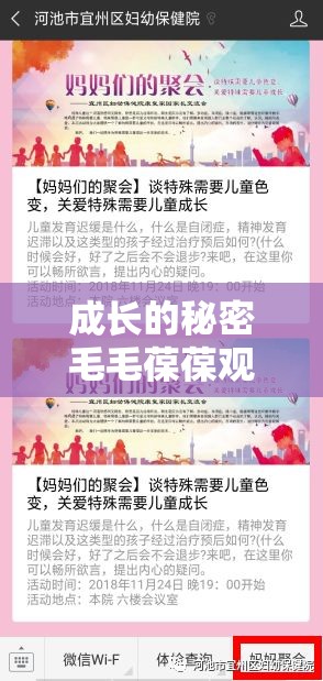 成长的秘密毛毛葆葆观察记录：探寻孩子成长的独特轨迹