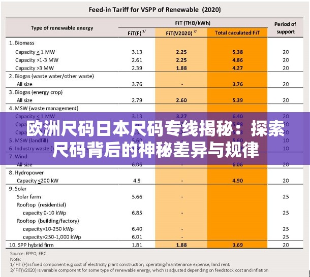 欧洲尺码日本尺码专线揭秘：探索尺码背后的神秘差异与规律