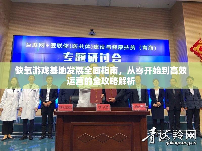缺氧游戏基地发展全面指南，从零开始到高效运营的全攻略解析