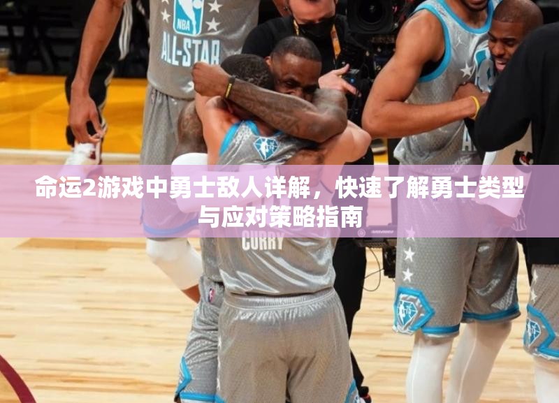 命运2游戏中勇士敌人详解，快速了解勇士类型与应对策略指南