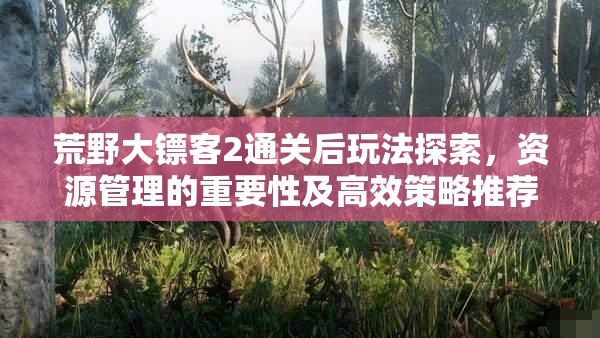 荒野大镖客2通关后玩法探索，资源管理的重要性及高效策略推荐