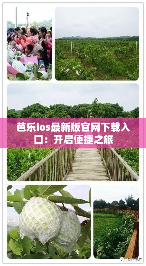 芭乐ios最新版官网下载入口：开启便捷之旅