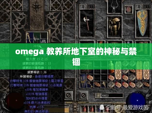 omega 教养所地下室的神秘与禁锢