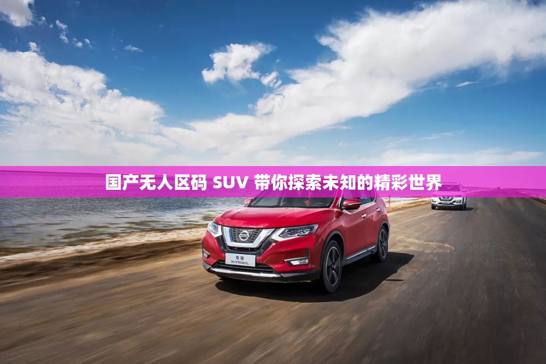 国产无人区码 SUV 带你探索未知的精彩世界