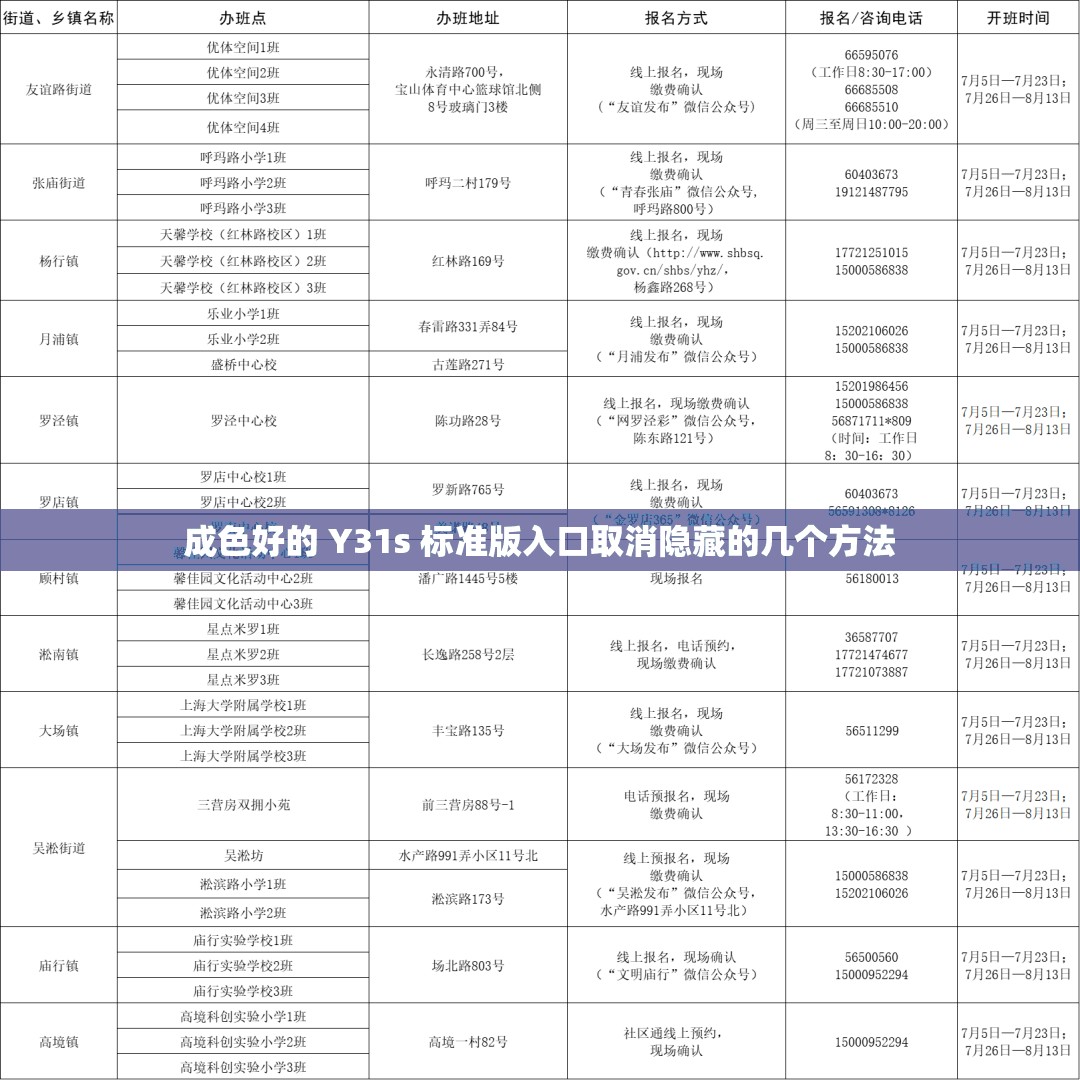 成色好的 Y31s 标准版入口取消隐藏的几个方法