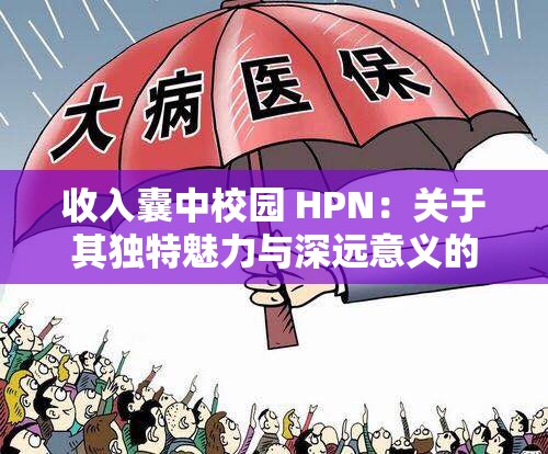 收入囊中校园 HPN：关于其独特魅力与深远意义的探讨