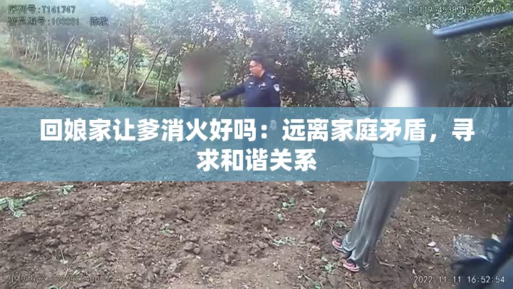 回娘家让爹消火好吗：远离家庭矛盾，寻求和谐关系