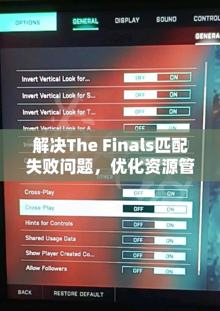 解决The Finals匹配失败问题，优化资源管理策略，全面升级游戏体验指南