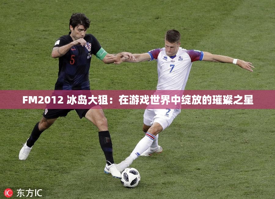 FM2012 冰岛大狙：在游戏世界中绽放的璀璨之星