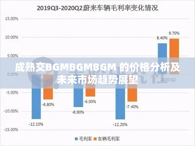成熟交BGMBGMBGM 的价格分析及未来市场趋势展望