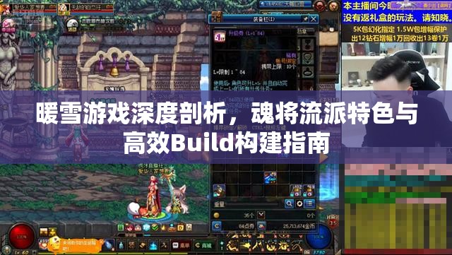 暖雪游戏深度剖析，魂将流派特色与高效Build构建指南