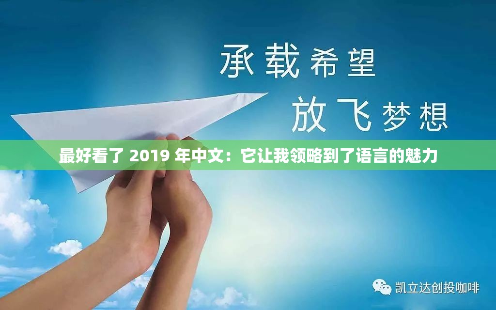 最好看了 2019 年中文：它让我领略到了语言的魅力