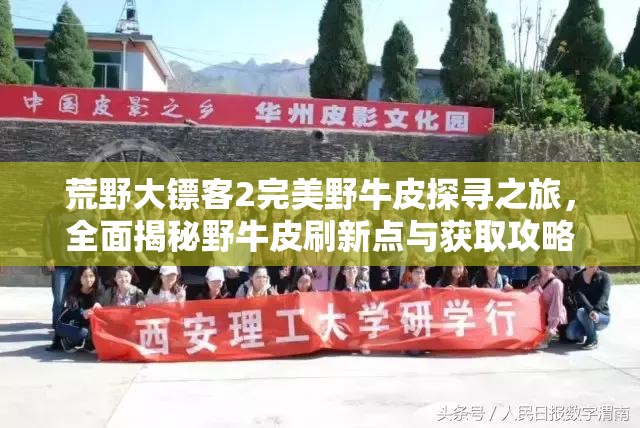 荒野大镖客2完美野牛皮探寻之旅，全面揭秘野牛皮刷新点与获取攻略