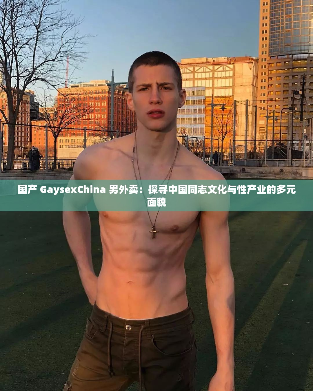 国产 GaysexChina 男外卖：探寻中国同志文化与性产业的多元面貌