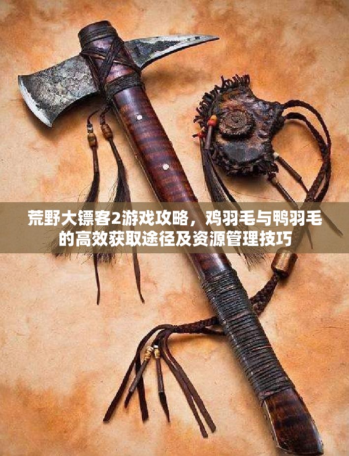 荒野大镖客2游戏攻略，鸡羽毛与鸭羽毛的高效获取途径及资源管理技巧