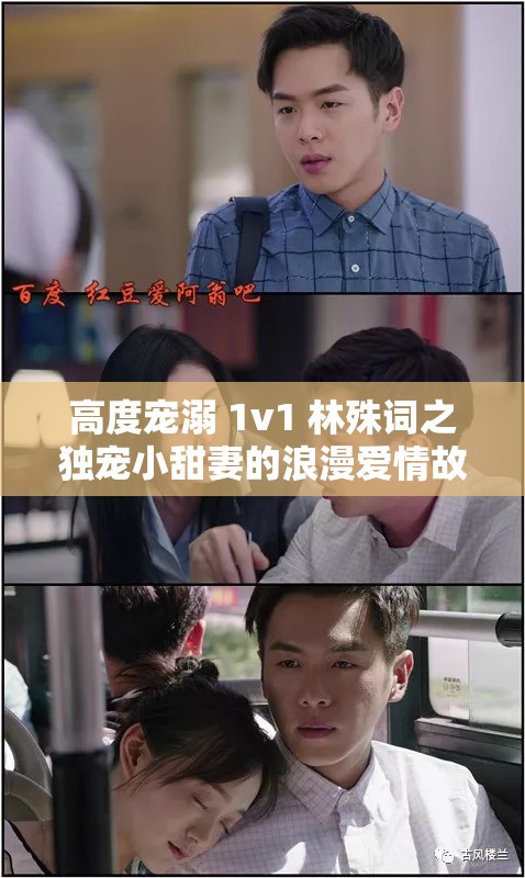 高度宠溺 1v1 林殊词之独宠小甜妻的浪漫爱情故事