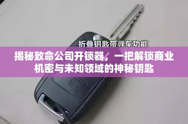 揭秘致命公司开锁器，一把解锁商业机密与未知领域的神秘钥匙