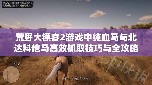 荒野大镖客2游戏中纯血马与北达科他马高效抓取技巧与全攻略