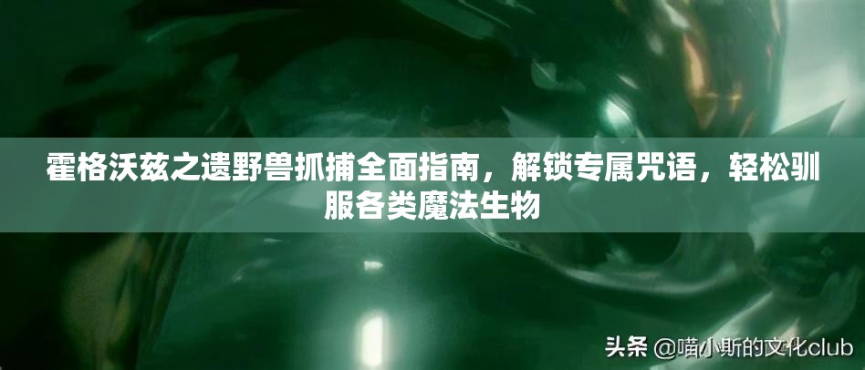 霍格沃兹之遗野兽抓捕全面指南，解锁专属咒语，轻松驯服各类魔法生物