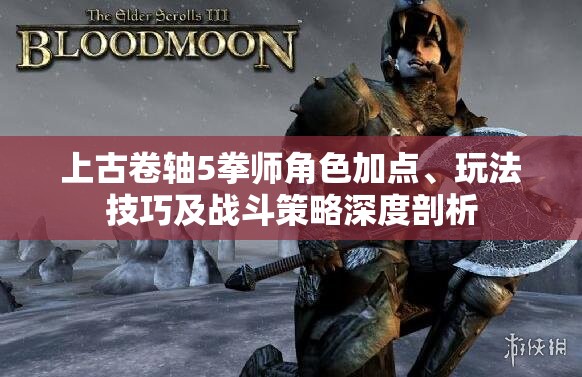 上古卷轴5拳师角色加点、玩法技巧及战斗策略深度剖析