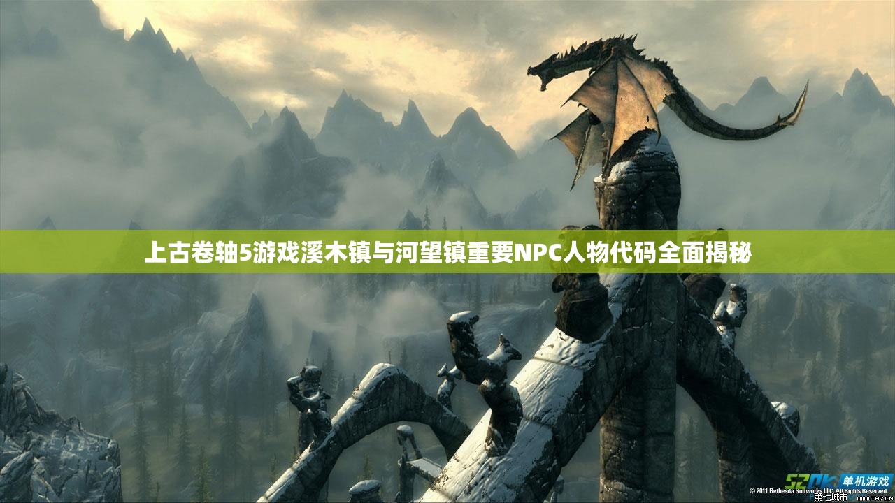 上古卷轴5游戏溪木镇与河望镇重要NPC人物代码全面揭秘