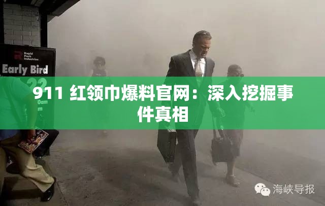 911 红领巾爆料官网：深入挖掘事件真相
