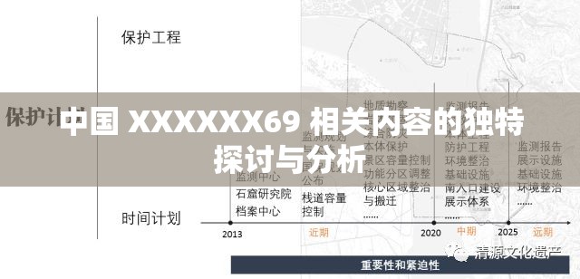 中国 XXXXXX69 相关内容的独特探讨与分析