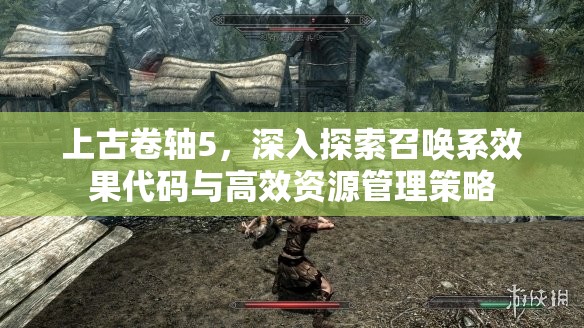 上古卷轴5，深入探索召唤系效果代码与高效资源管理策略