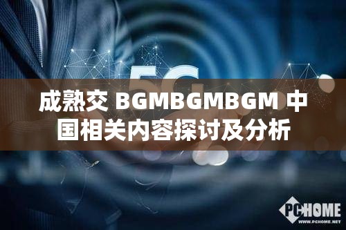 成熟交 BGMBGMBGM 中国相关内容探讨及分析