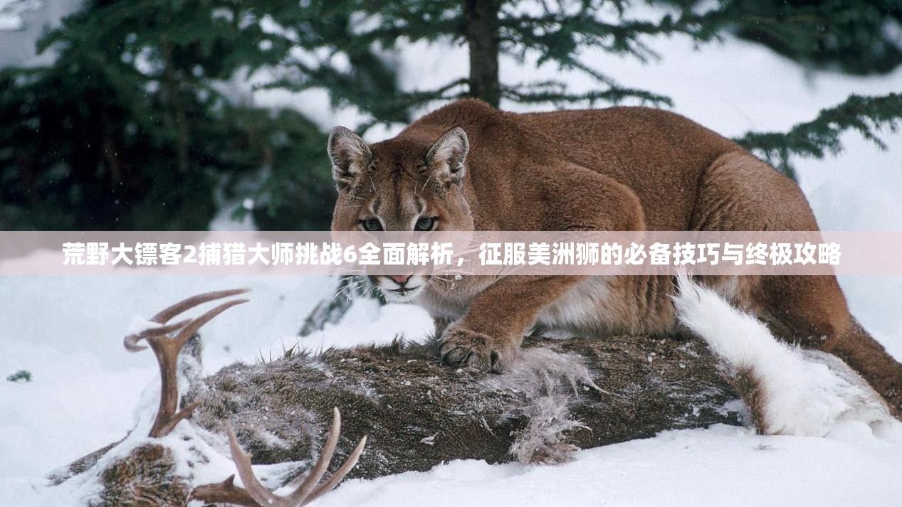 荒野大镖客2捕猎大师挑战6全面解析，征服美洲狮的必备技巧与终极攻略