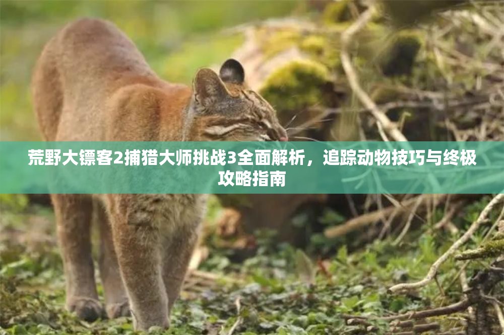 荒野大镖客2捕猎大师挑战3全面解析，追踪动物技巧与终极攻略指南