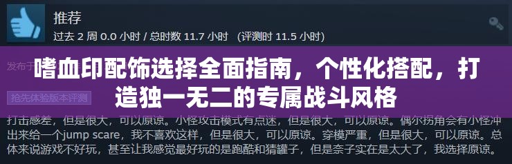 嗜血印配饰选择全面指南，个性化搭配，打造独一无二的专属战斗风格