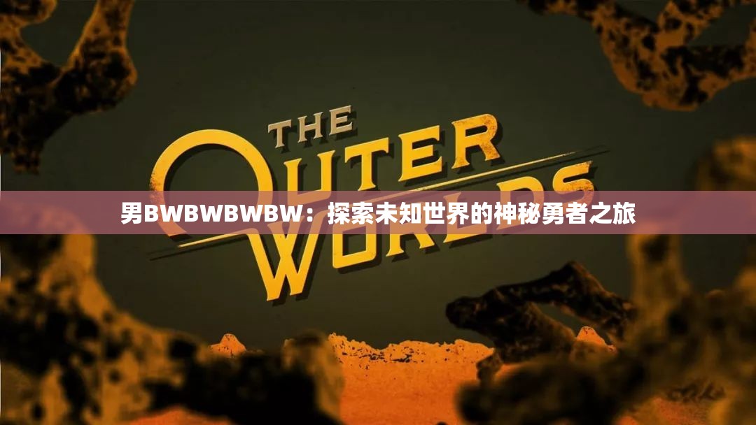 男BWBWBWBW：探索未知世界的神秘勇者之旅
