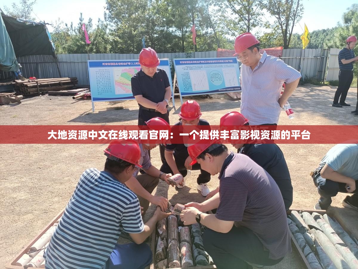 大地资源中文在线观看官网：一个提供丰富影视资源的平台