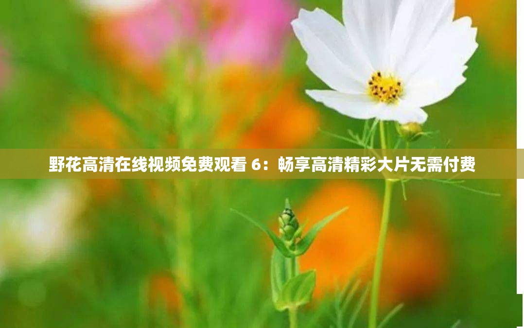 野花高清在线视频免费观看 6：畅享高清精彩大片无需付费