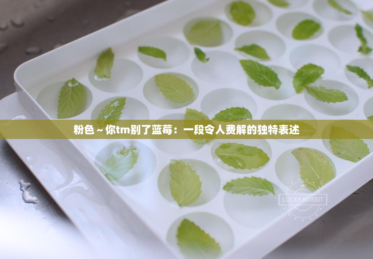 粉色～你tm别了蓝莓：一段令人费解的独特表述