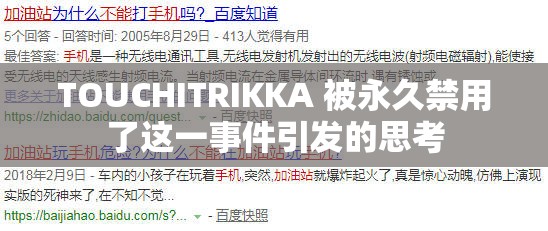 TOUCHITRIKKA 被永久禁用了这一事件引发的思考