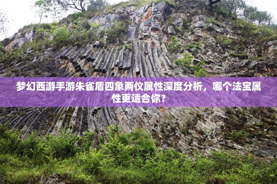 梦幻西游手游朱雀盾四象两仪属性深度分析，哪个法宝属性更适合你？