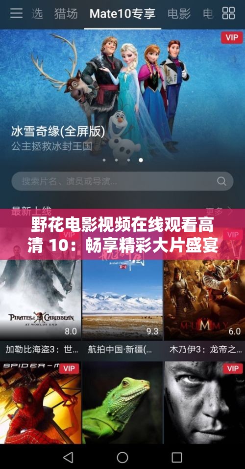 野花电影视频在线观看高清 10：畅享精彩大片盛宴
