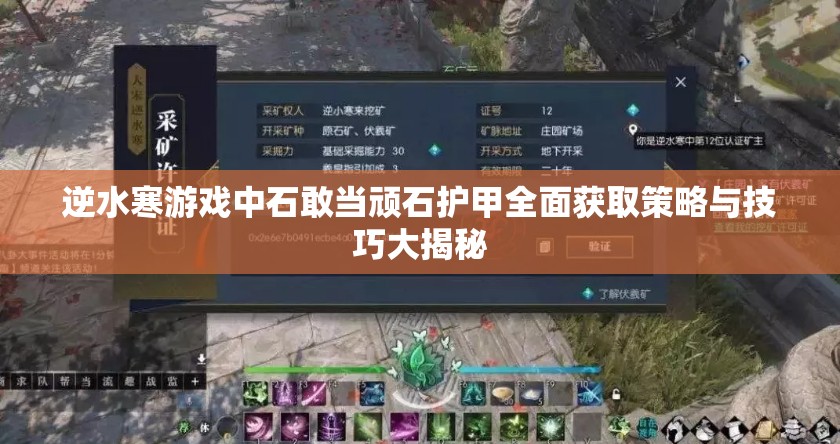 逆水寒游戏中石敢当顽石护甲全面获取策略与技巧大揭秘