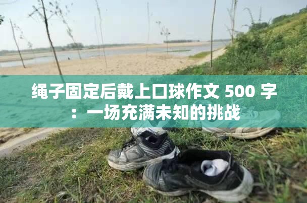 绳子固定后戴上口球作文 500 字：一场充满未知的挑战
