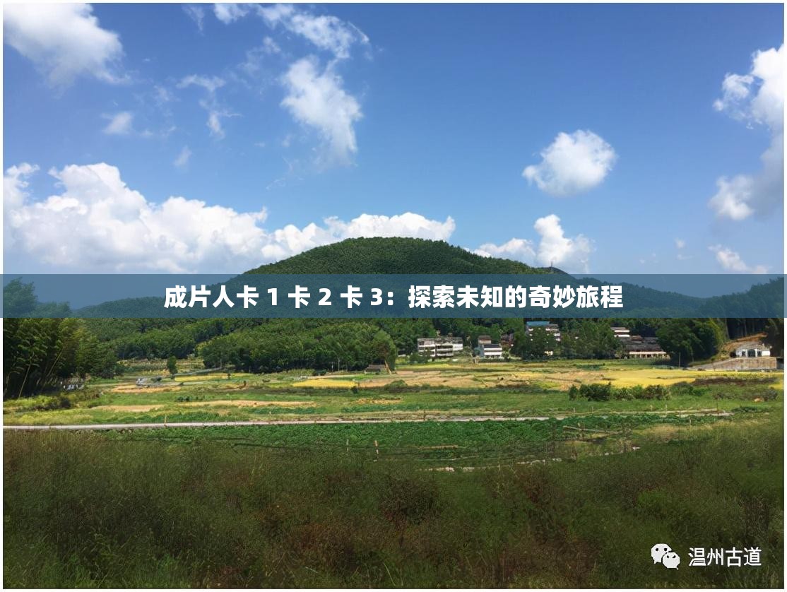 成片人卡 1 卡 2 卡 3：探索未知的奇妙旅程