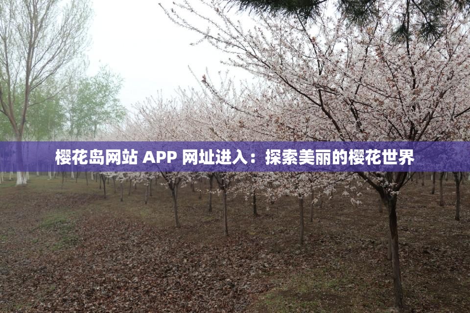 樱花岛网站 APP 网址进入：探索美丽的樱花世界