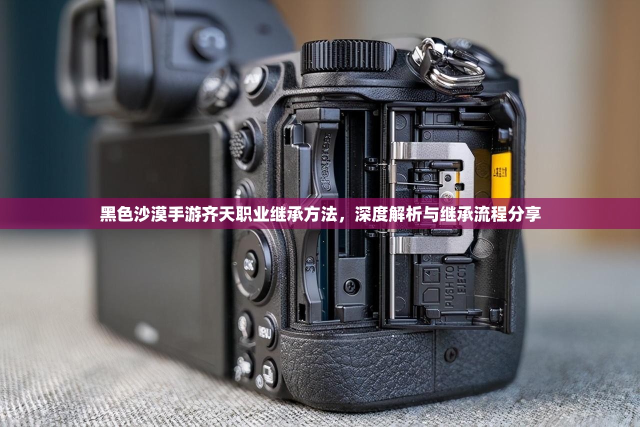 黑色沙漠手游齐天职业继承方法，深度解析与继承流程分享