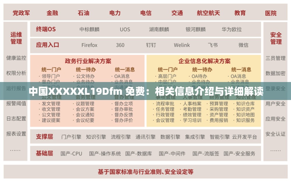 中国XXXXXL19Dfm 免费：相关信息介绍与详细解读