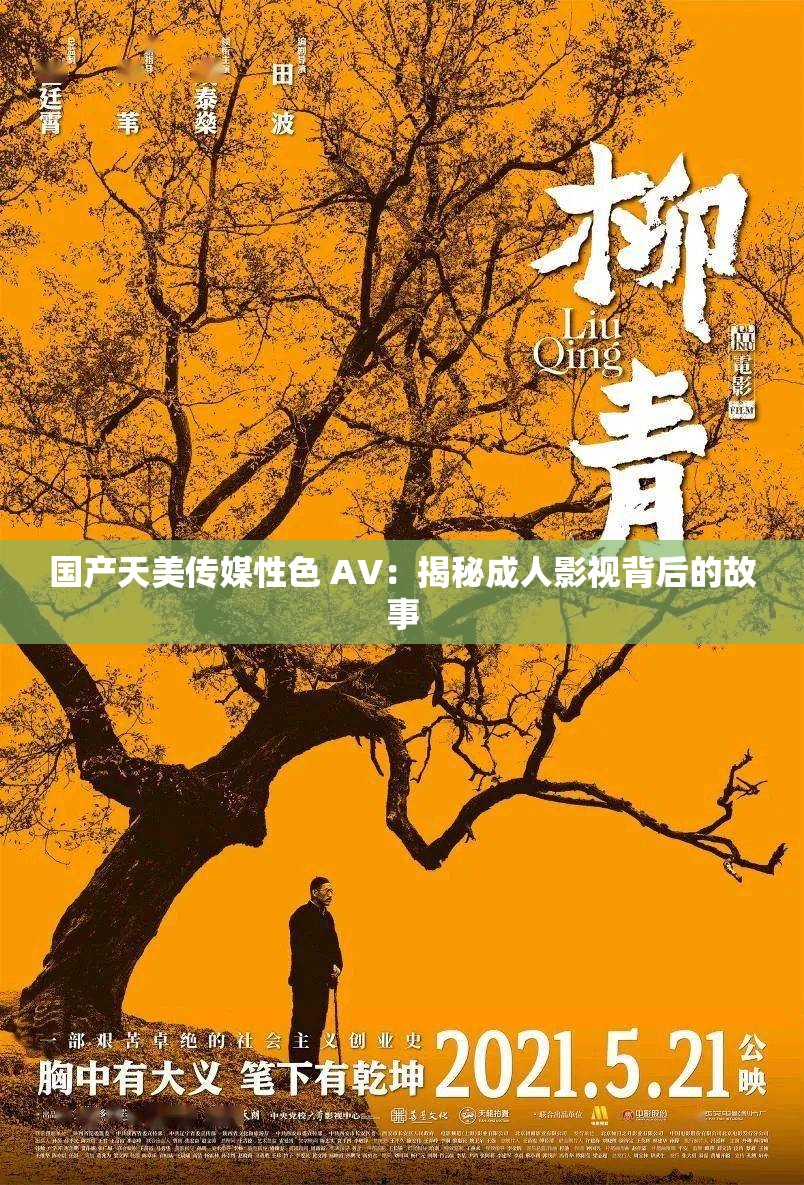 国产天美传媒性色 AV：揭秘成人影视背后的故事